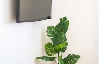 Magec Santa Cruz - Foto 2