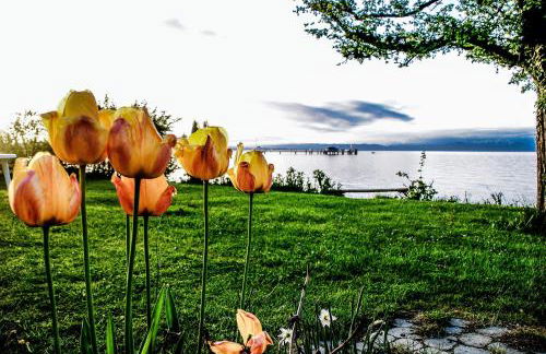 Birkhofer See genießen - Haus Seehang - Foto 52