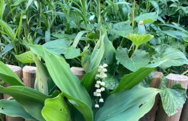 Studio avec terrasse et parking au Mans - Foto 15