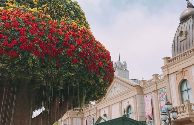 Excursión a Everland - Foto 1