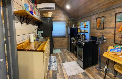 Carlton Cabin at Lake of Egypt 500 Sq Ft - Photo 18