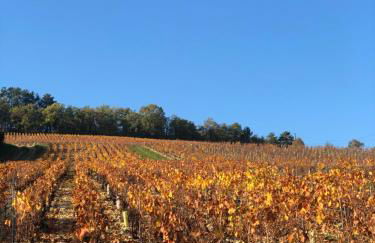 L’ATYPIK - Foto 30