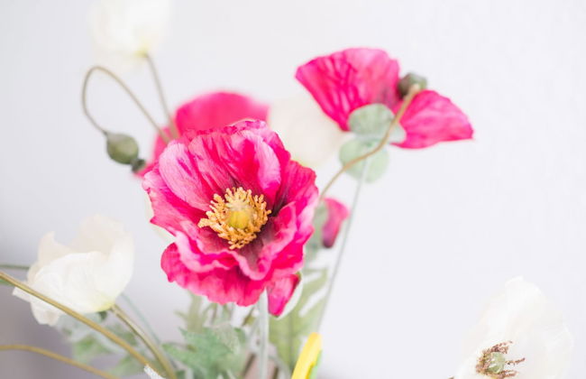 Haus am Dom - Foto 38