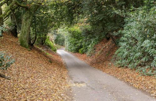 The Studio - Arne - Photo 47