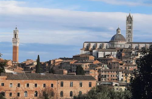 Il Colombo - Foto 29