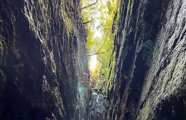 Morada do Guardião - Foto 44