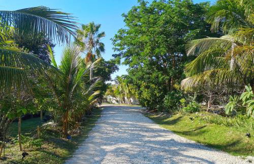 Ocean View with Pool, 4 bedroom Vila Near Key West - Foto 42