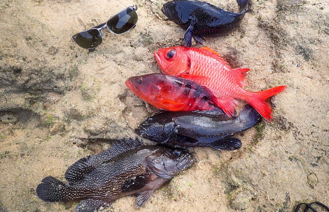 Blue Ocean Resort - Foto 28