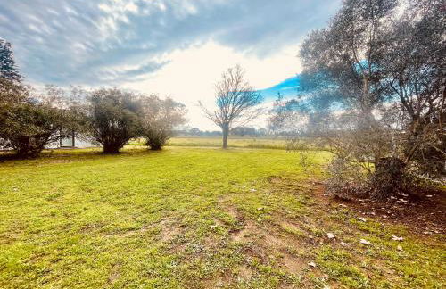 CHEZ BABOU studio d'artistes avec piscine, parking - Photo 15