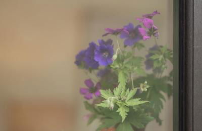 The Rising - Foto 19