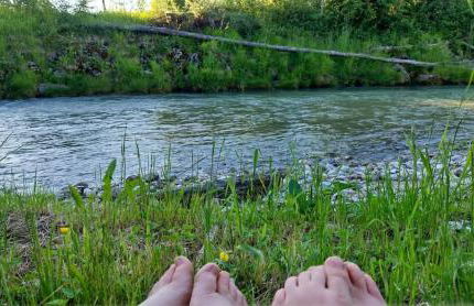 Ferienwohnung in Niederhasling - Foto 23