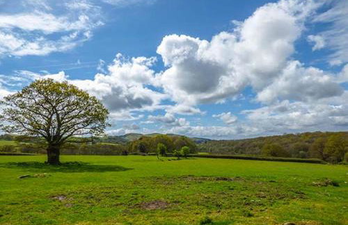 Brynhir Farm - Foto 18