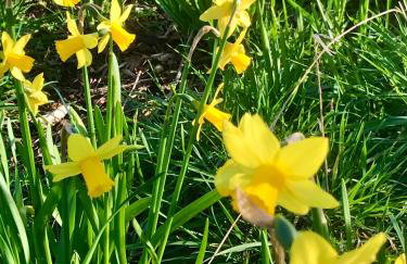 The Cottage Abbotsbury - Foto 32