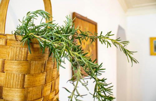 Casa da Luz - Country House with Terrace - Foto 37