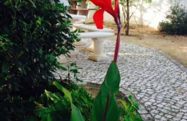 Casa Jaimie - Foto 6