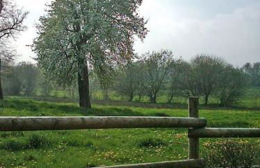 Gîte : La Cochetière : ancienne ferme 18éme - Foto 11