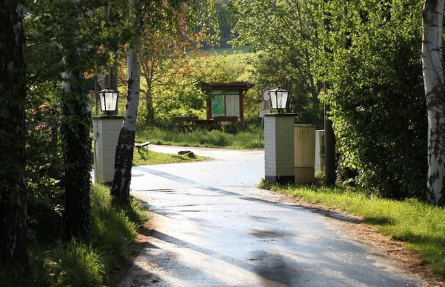 Bos en Kasteel - Foto 13