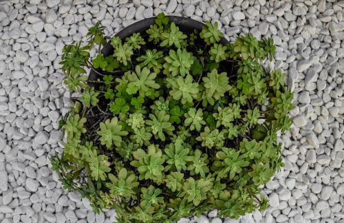 Apartman Casa Di Anna - Photo 42