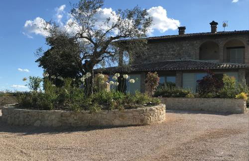 Agriturismo Fattoria di Monticello - Foto 25