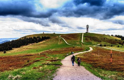 Abnoba Mons Design Apartment Lenzkirch - Photo 26