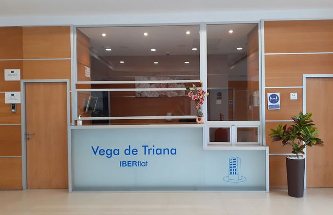 Iberflat Vega De Triana - Foto 6