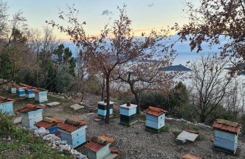 Amber's Place: cosy house with pool and sea views - Foto 22