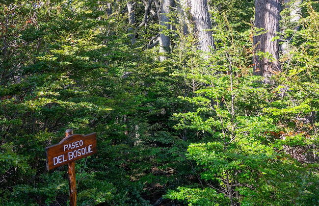 Cabañas Del Martial - Foto 32