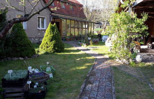 Kräuter-Heidi - Foto 1