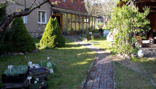 Kräuter-Heidi - Foto 1