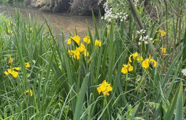 Otter Camp Private Riverside Glamping with Hot Tub - Foto 37