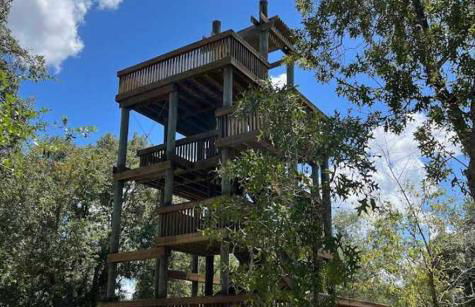 Cozy 2 Bedroom home, Dade City! #1 - Foto 44