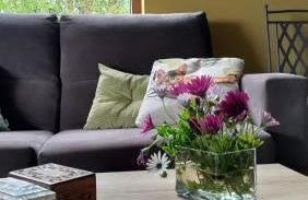 El MIRADOR DE TONO , Casa entera - Foto 43