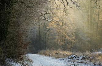 Secret Garden - Foto 72