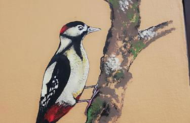 Caño de Hierro - Foto 40