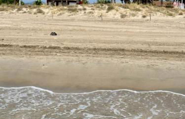 Villa Grao Benicasim REF 026 - Photo 1