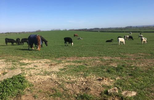 High Oak Holiday Cottage - Foto 24