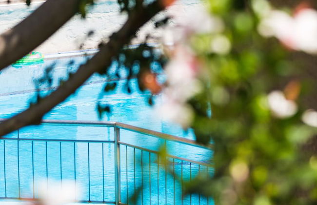 Philoxenia Villas - Photo 45