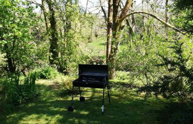 Penmachno Hall - self catering suite - Foto 33