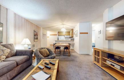 Summit Condominium #273 Condo - Foto 8