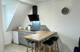 Charmant appartement 3 pièces proche hyper centre Strasbourg - Foto 17