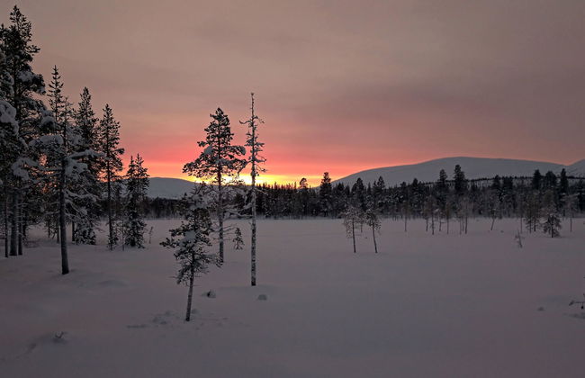 Tunturitupa kuolpuna - Foto 4
