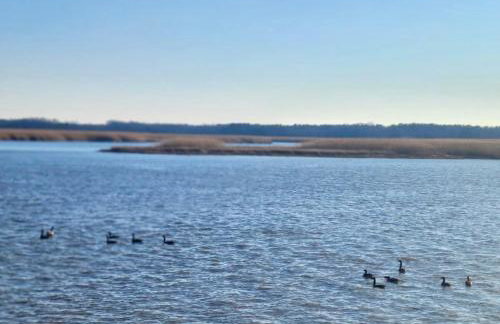 Sai Villa on Maurice River - Foto 19