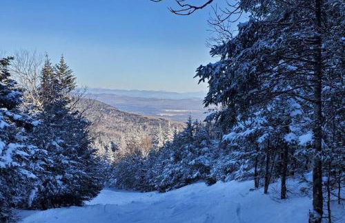 Burke Abode - Trailside Condo with King & Full Beds - Foto 16