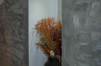 Aizalegia - Photo 38