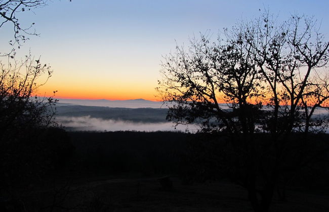 Podere Campovecchio - Foto 6