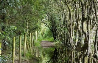 'Mill Cottage' Parbold - Foto 74