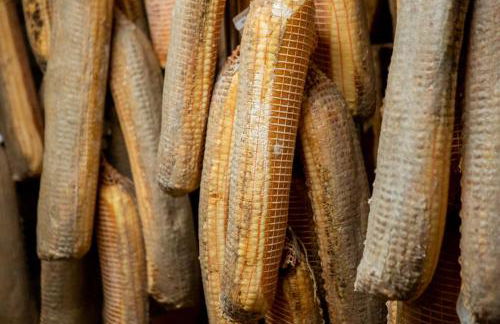 Corte San Ruffillo-Azienda Agrituristica - Foto 80