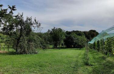 Kuća za odmor Villa Cesarica - Zagreb - Foto 22