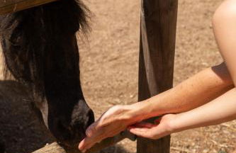 Agroturismo Son Marge - Photo 24