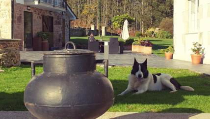 Casa Xan - Foto 5, Garden